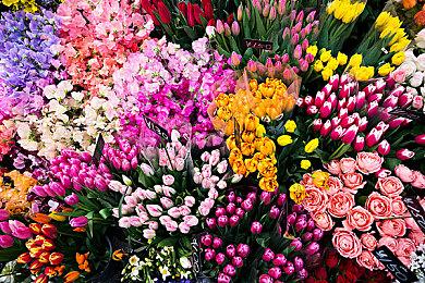 《寻找伪人》销量突破50万 作者公布后续更新计划