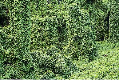 爱好者用HD-2D技术重制SFC经典《时空之轮》